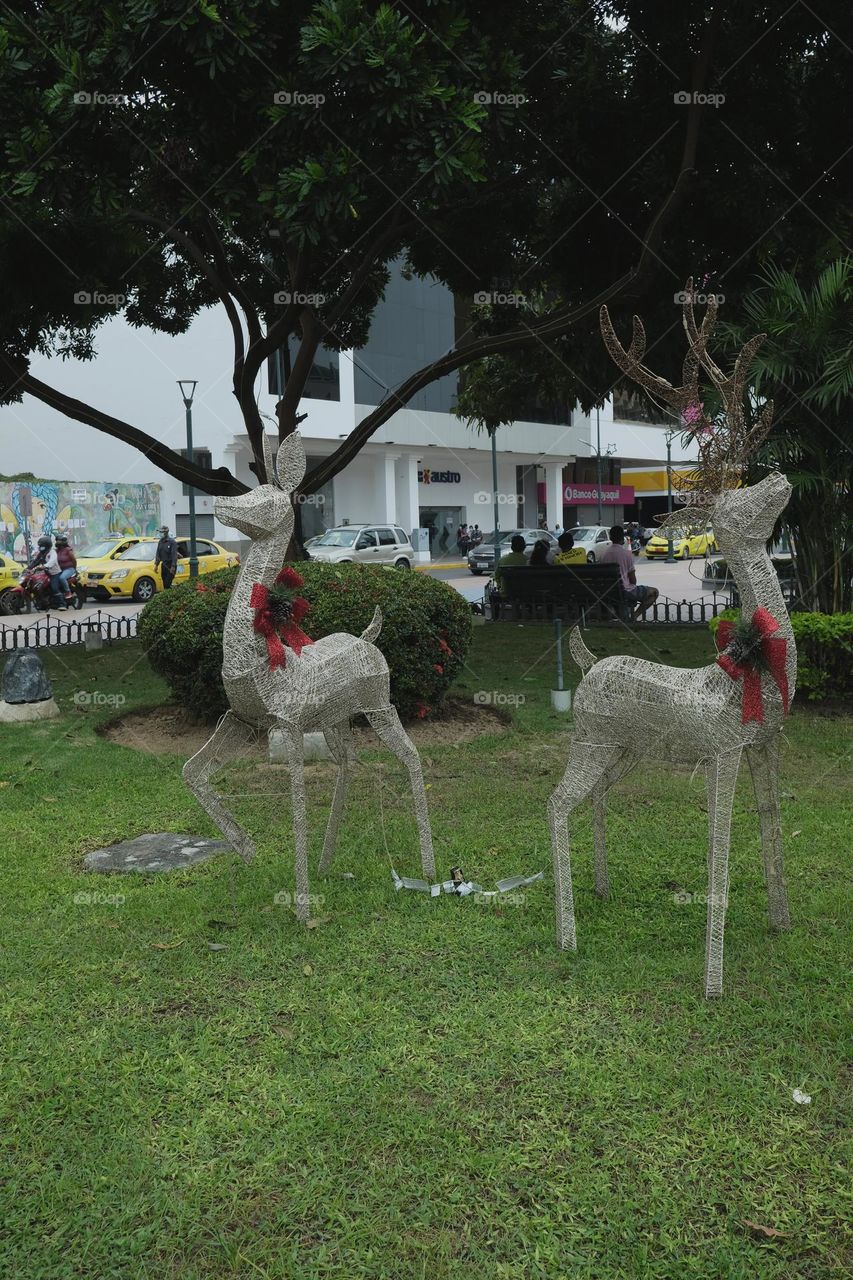 Christmas ornaments in the shape of reindeer in a park in the city of Ecuador.