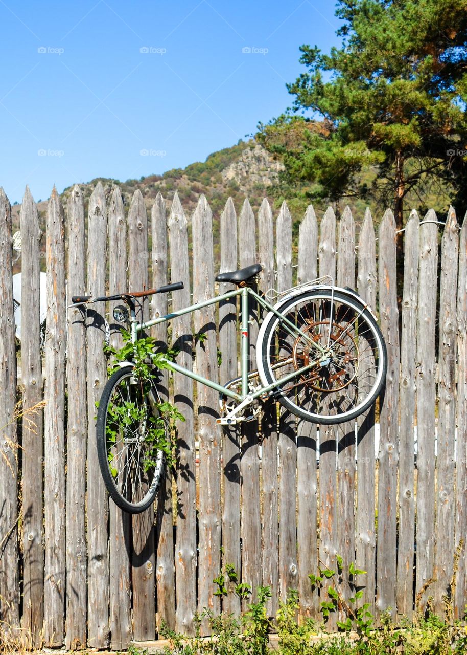 Bicycle Hanging on Fence