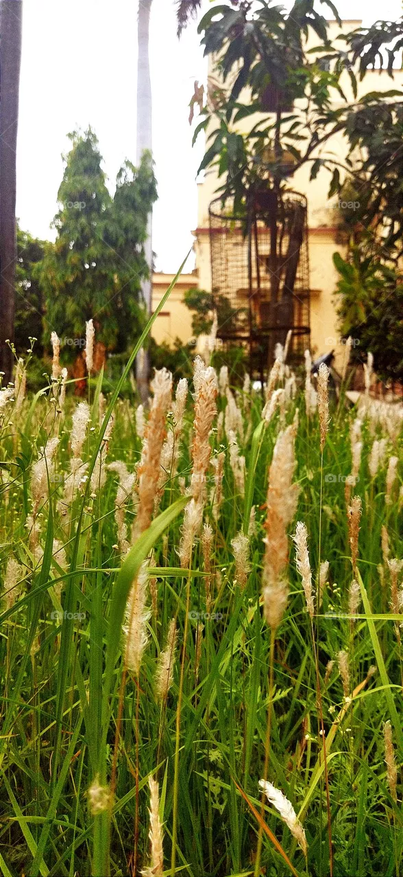 💮💮