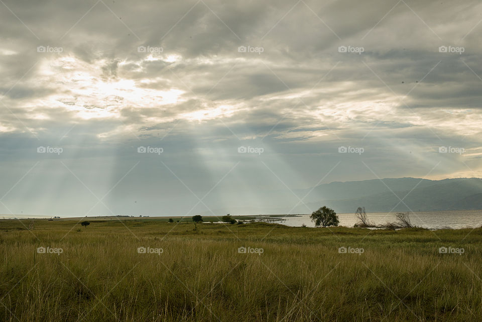 Light after rain