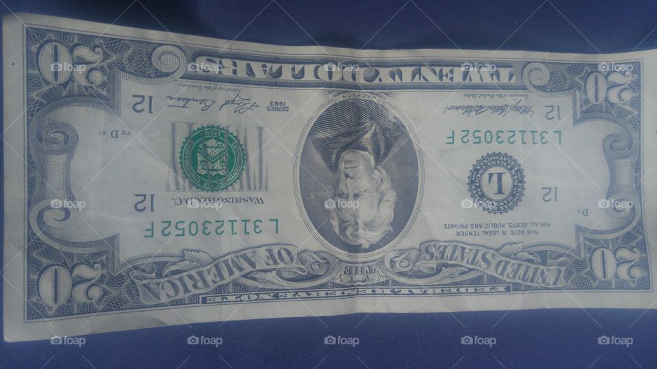 Old school $20 bill.