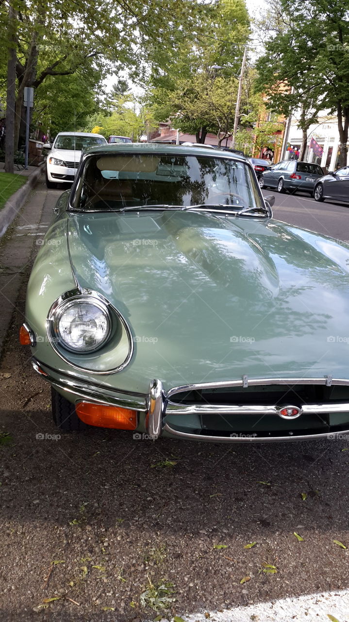 e type jaguar . e type jaguar 