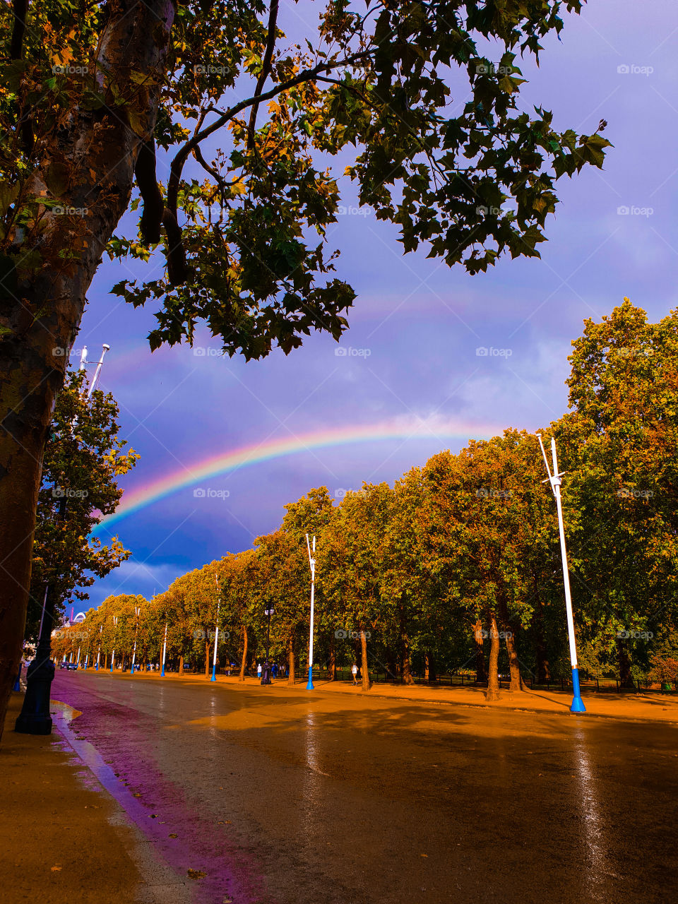 Setting Sun, Spring Showers, Stunning Rainbows