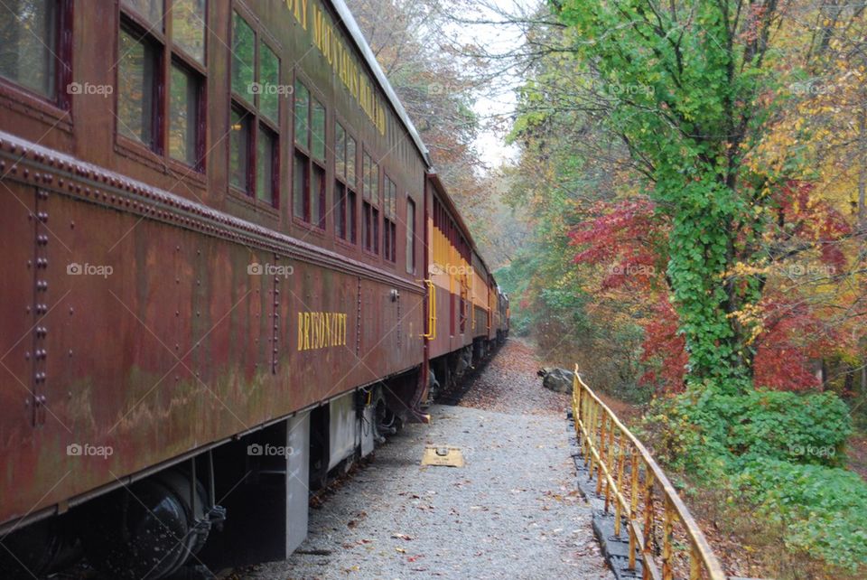 Train cars fall colors