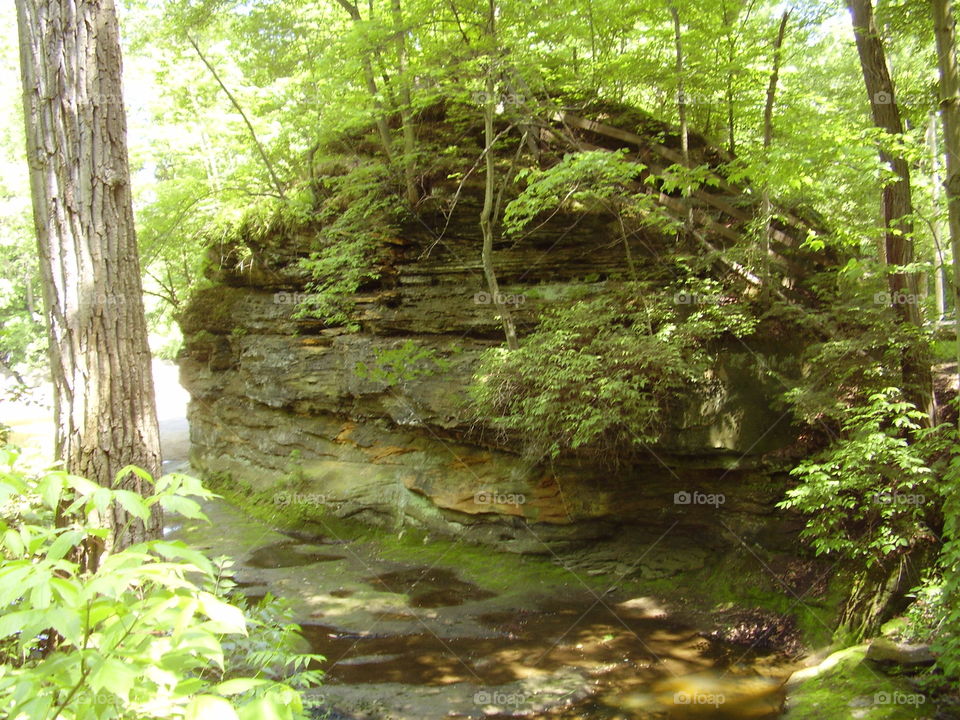 Big rock wall mound