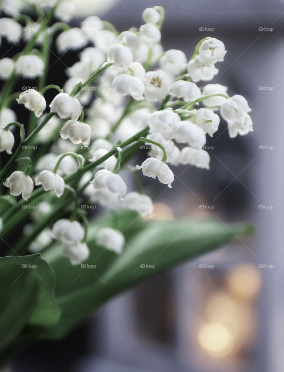 Bouquet of lilies of the valley