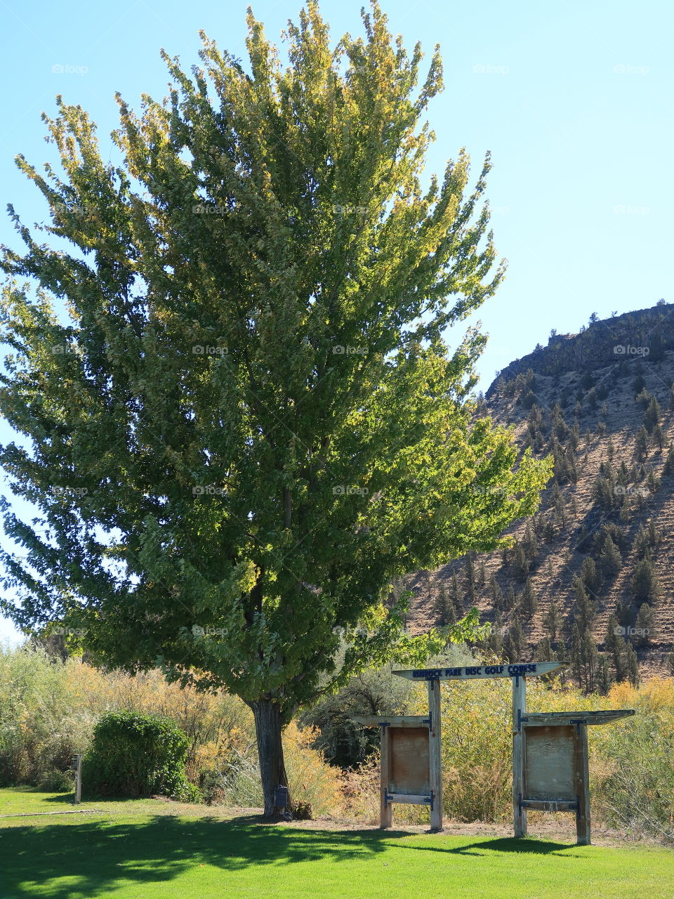 Frisbee Golf Course at Rimrock Park in Prineville in Central Oregon on a sunny fall day. 