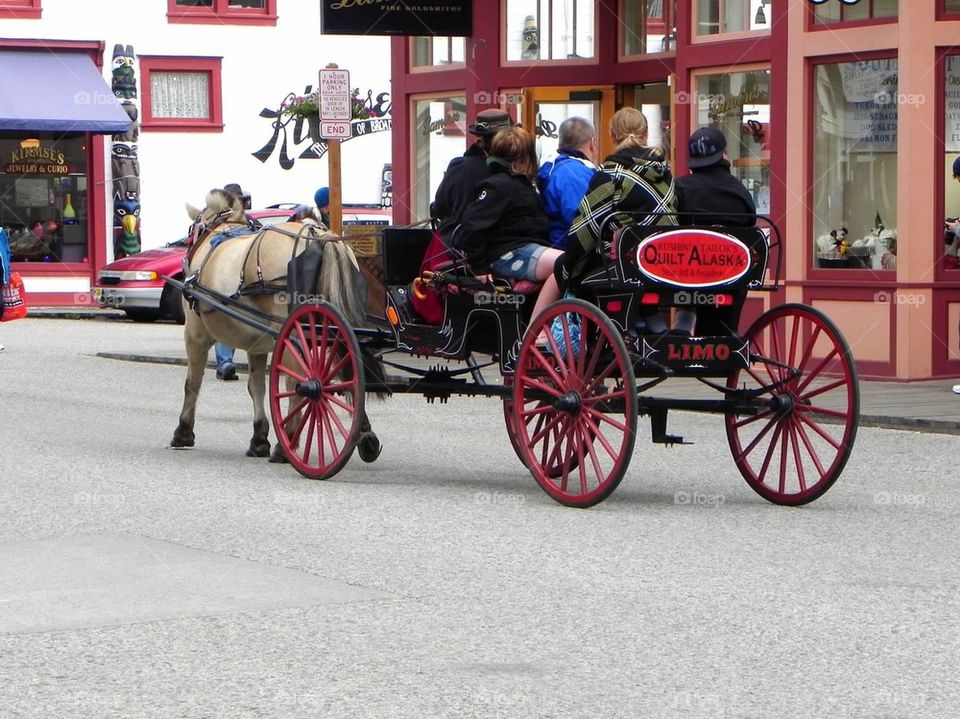 Skagway Limo