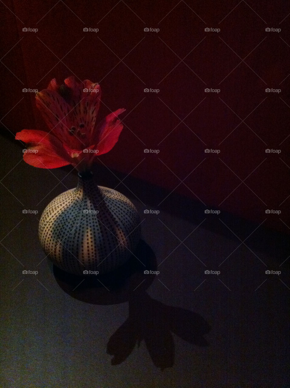 flower miss voon stockholm by Tinhul