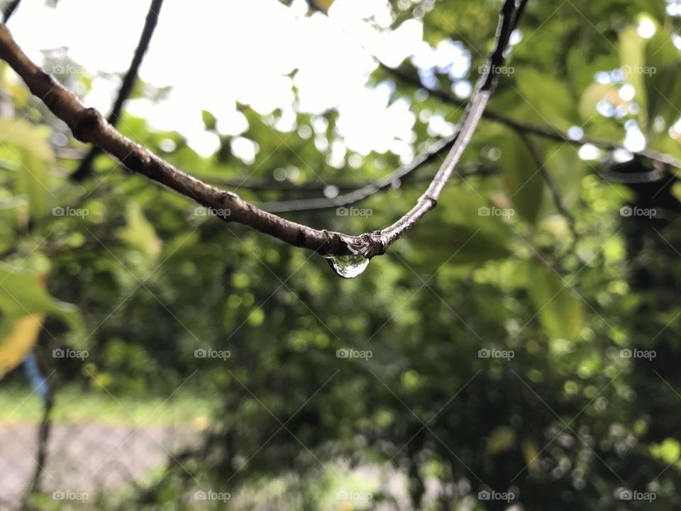 Nature at it’s finest, beautiful water drop...