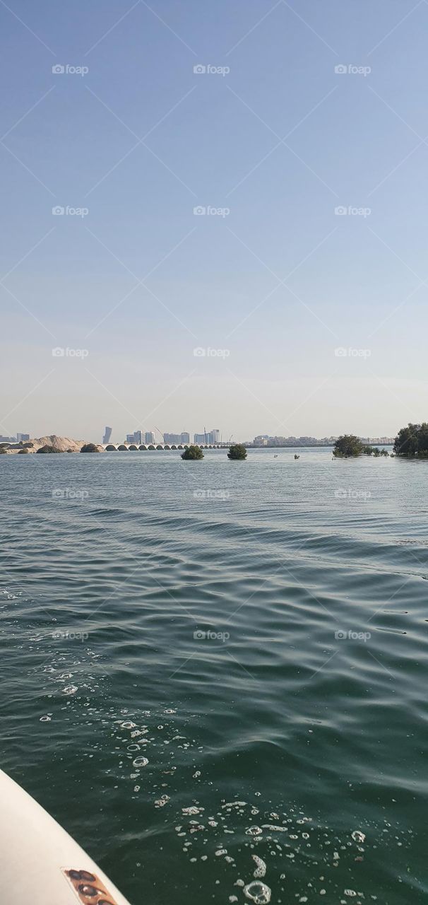 Searcing for Mangroves forest