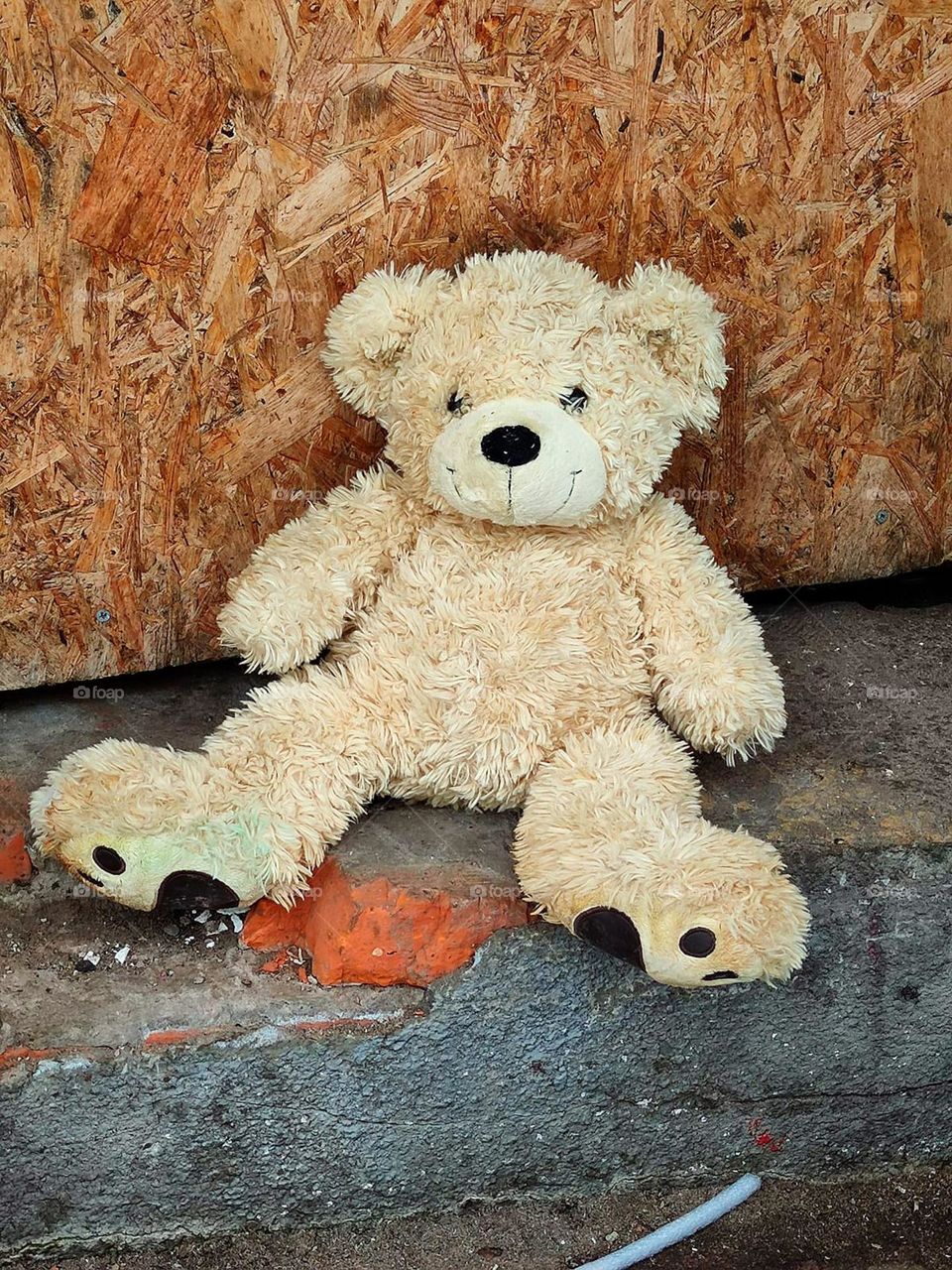 A yellow teddy bear on a gray asphalt.  Abandoned toy
