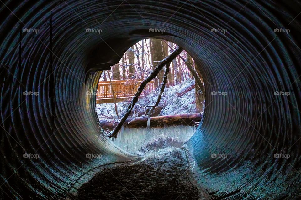 Culvert dwellers have the best views! 