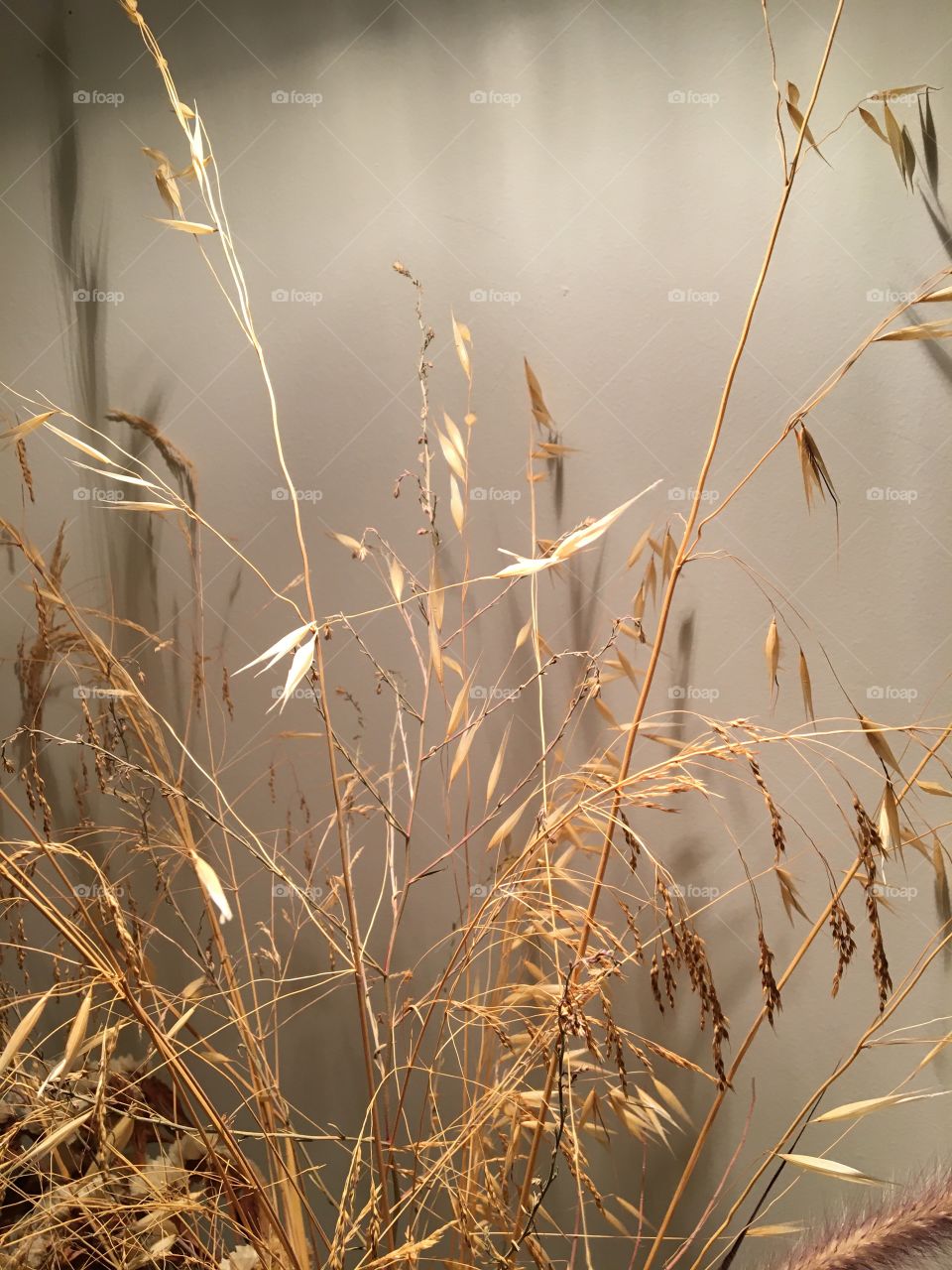 Aerial dry grass bouquet under light