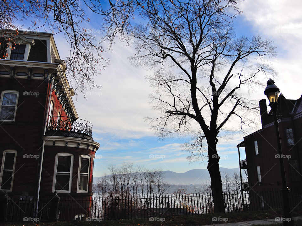 newburgh ny sky blue tree by delvec