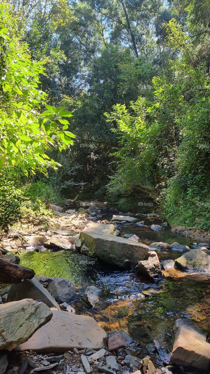 hiking on a sunny day