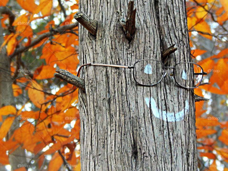 A tree decorated with a smile and glasses