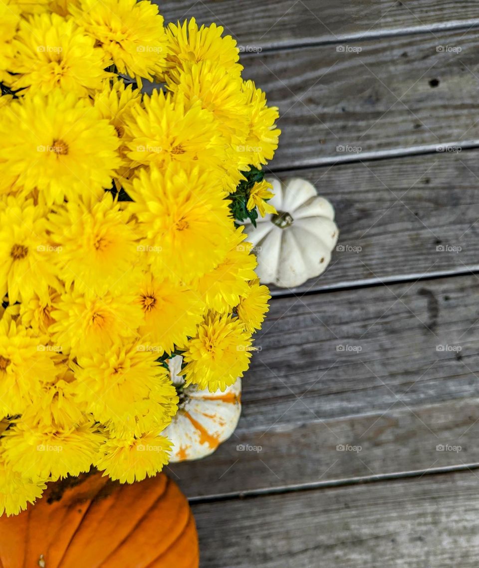 Yellow flowers and mini pumpkins