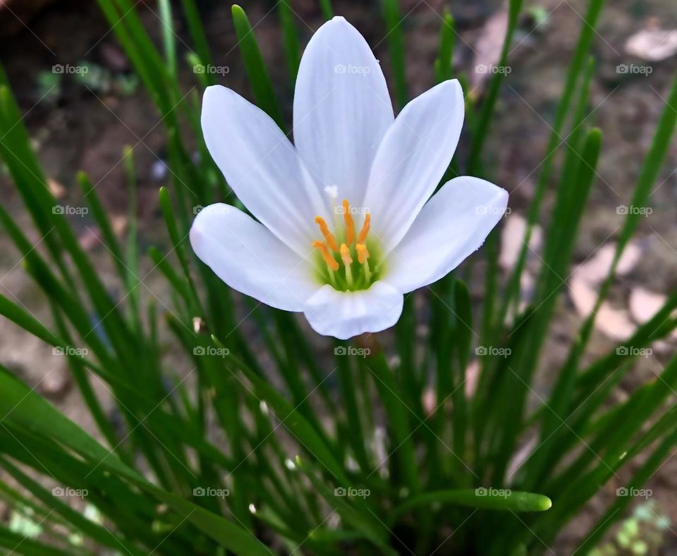 Photo of the month July