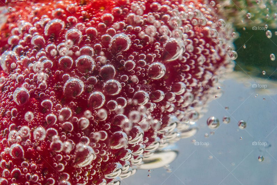 colourful berries 