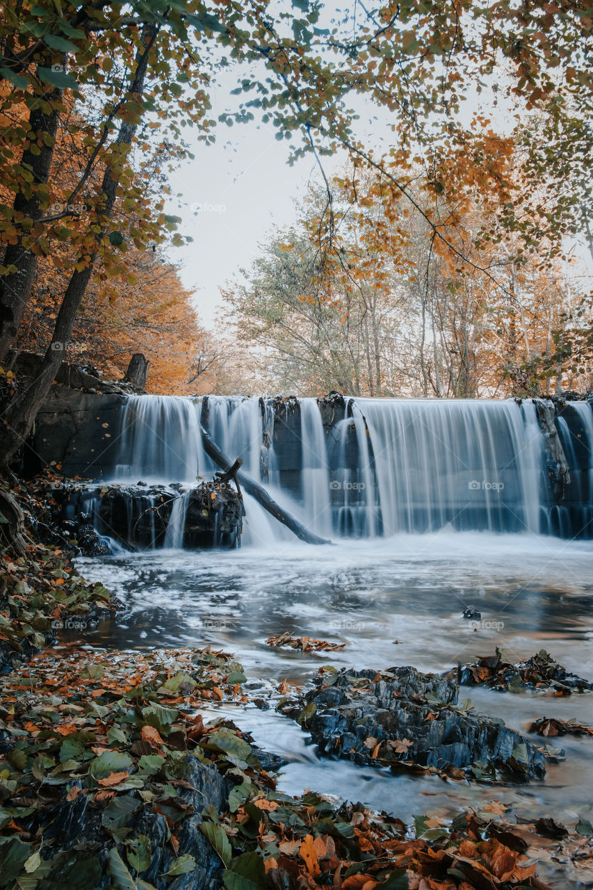 Scenic view of waterfall in forest 