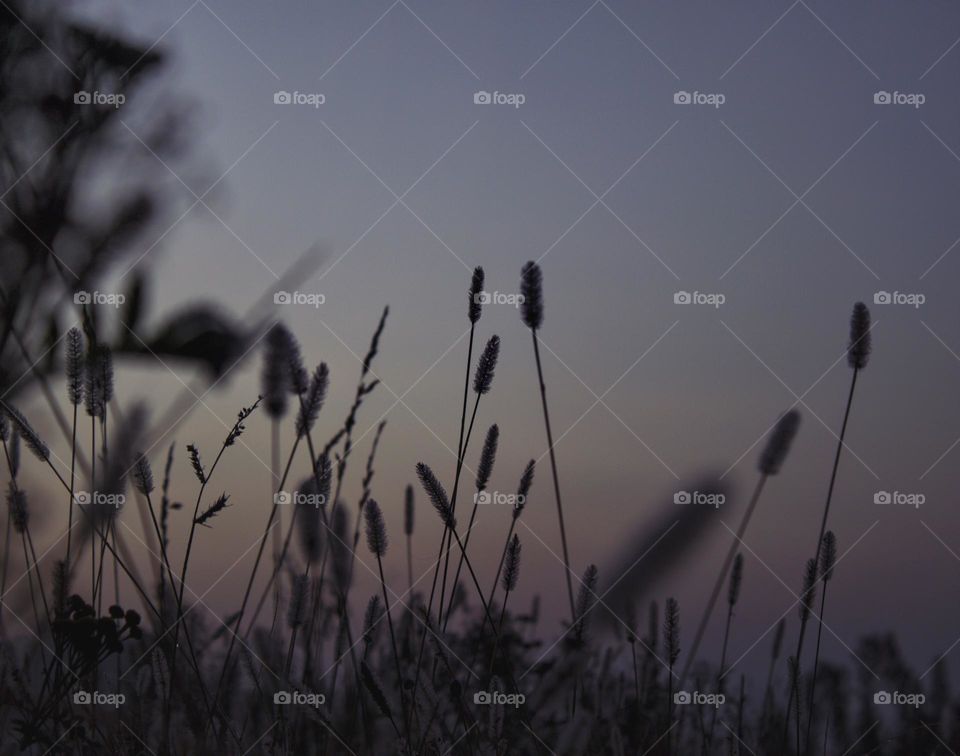 Beautifull summer morning with colorful sky