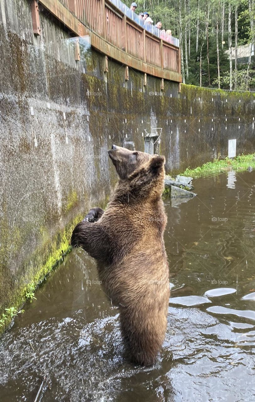 an absolute honour to see such a beautiful creature. 