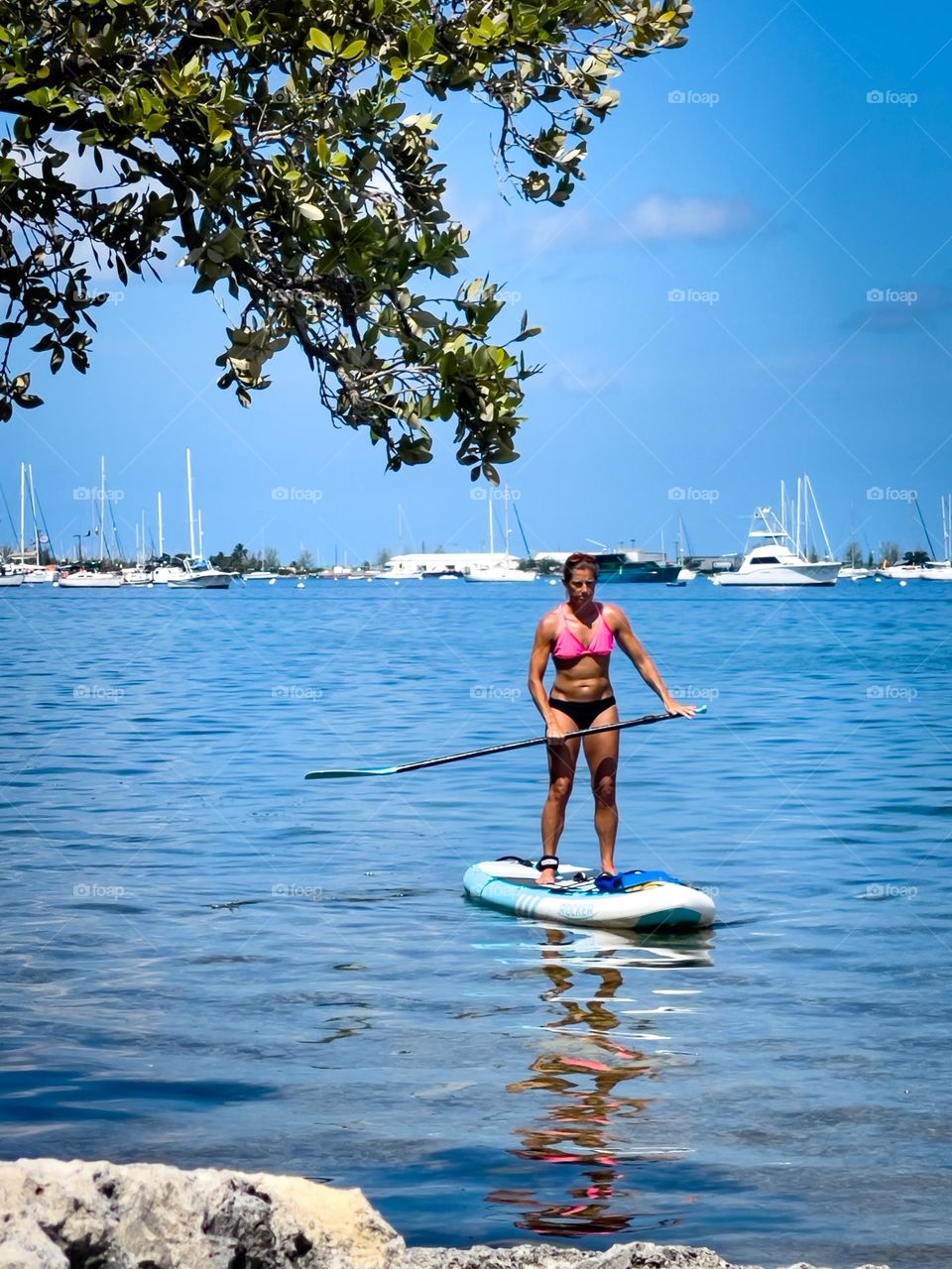 BOOGIE BOARD