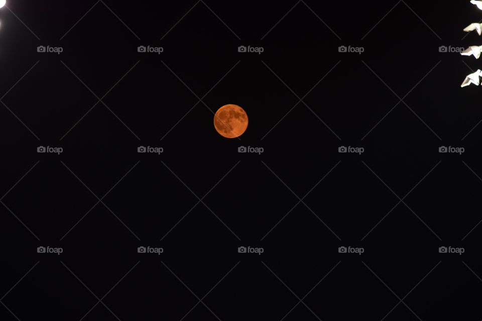 #Moon