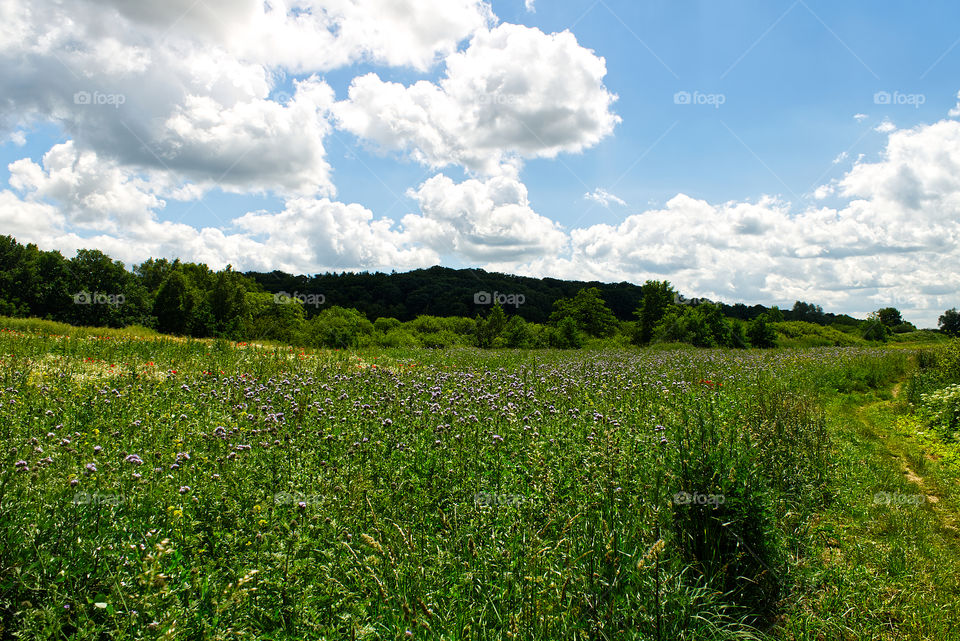 Landschaftsbild