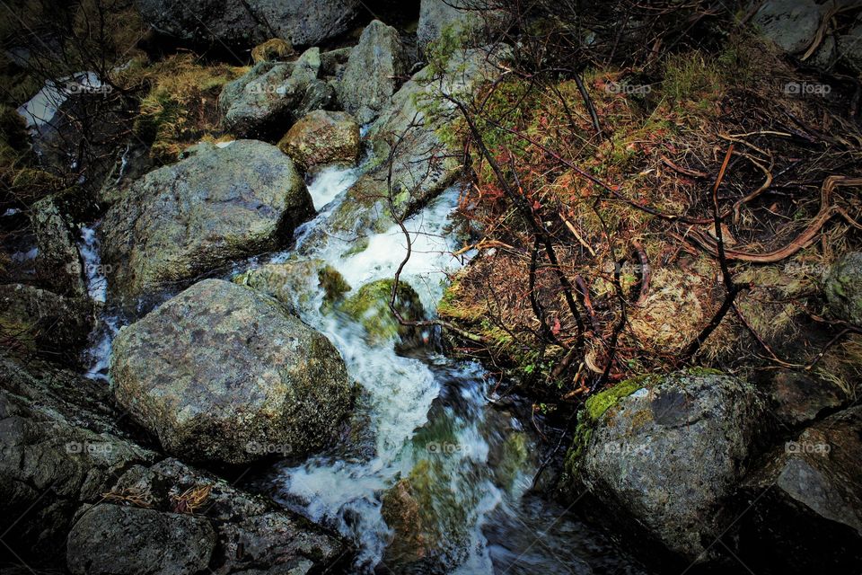 Stream on the rocks