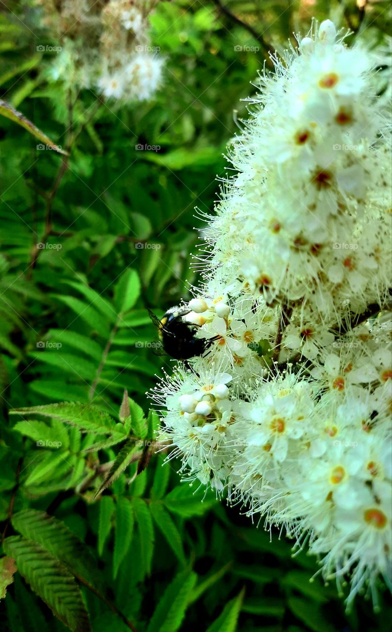 not my best but I like it