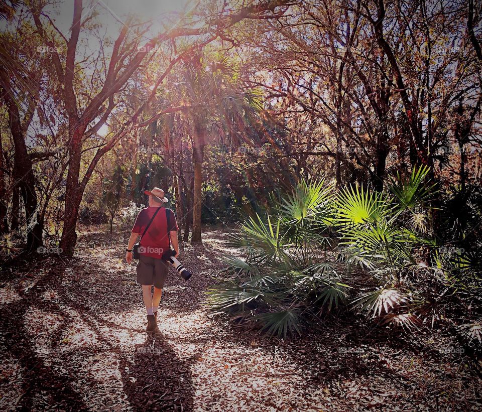 Photographer walking into a rainbow sun shower in the forest.