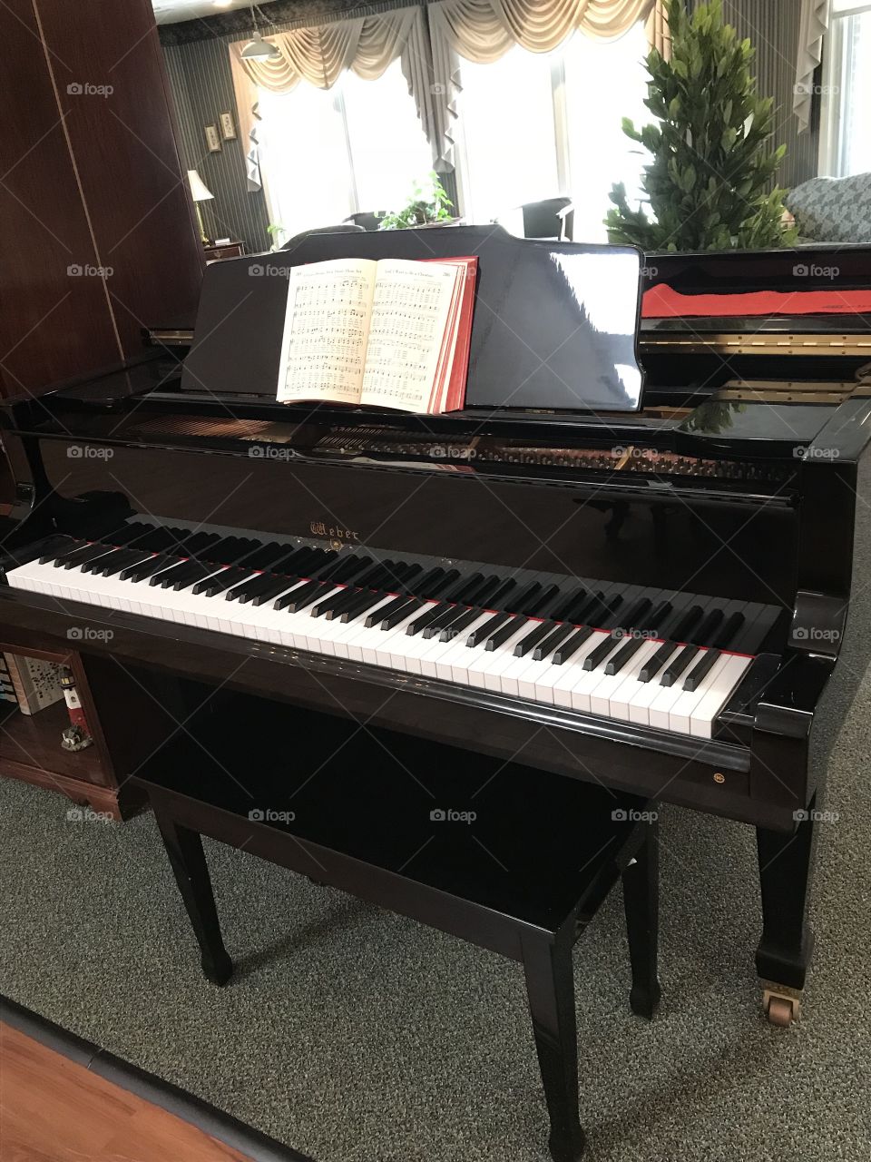 Piano- music is therapeutic. Piano is located at an assisted living facility. Residents who can’t remember their own children’s name can still play the piano by memory 