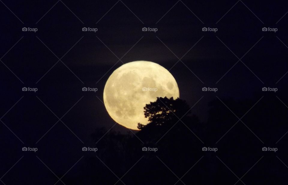 Full Moon August 3rd a Sturgeon moon