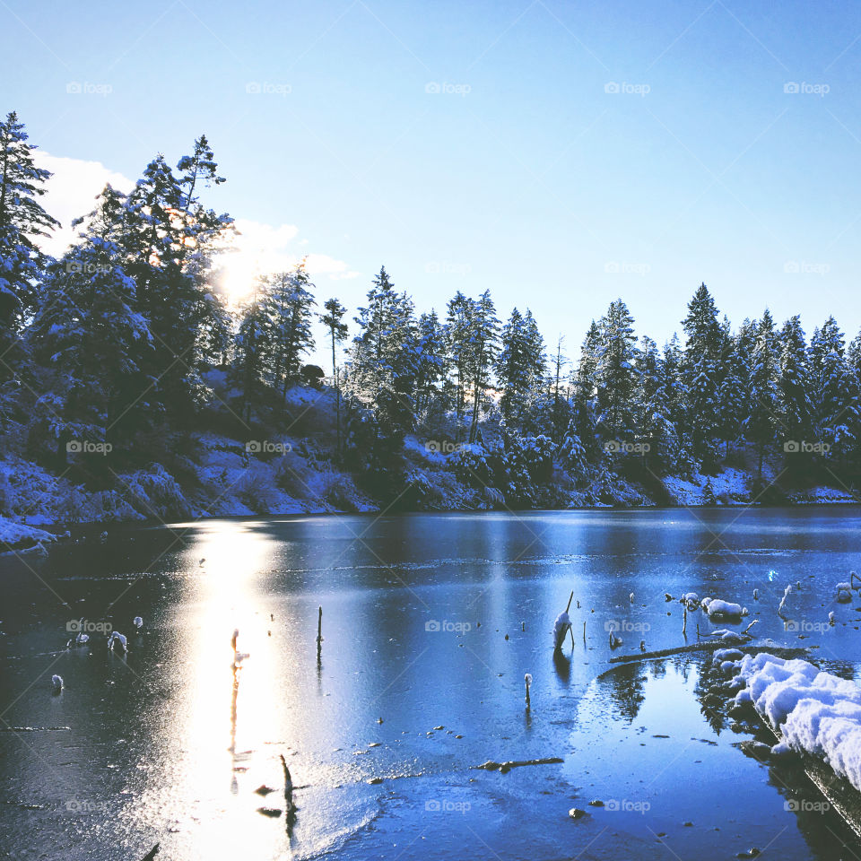 Winter landscape of snow covered trees surrounding a small frozen lake. 