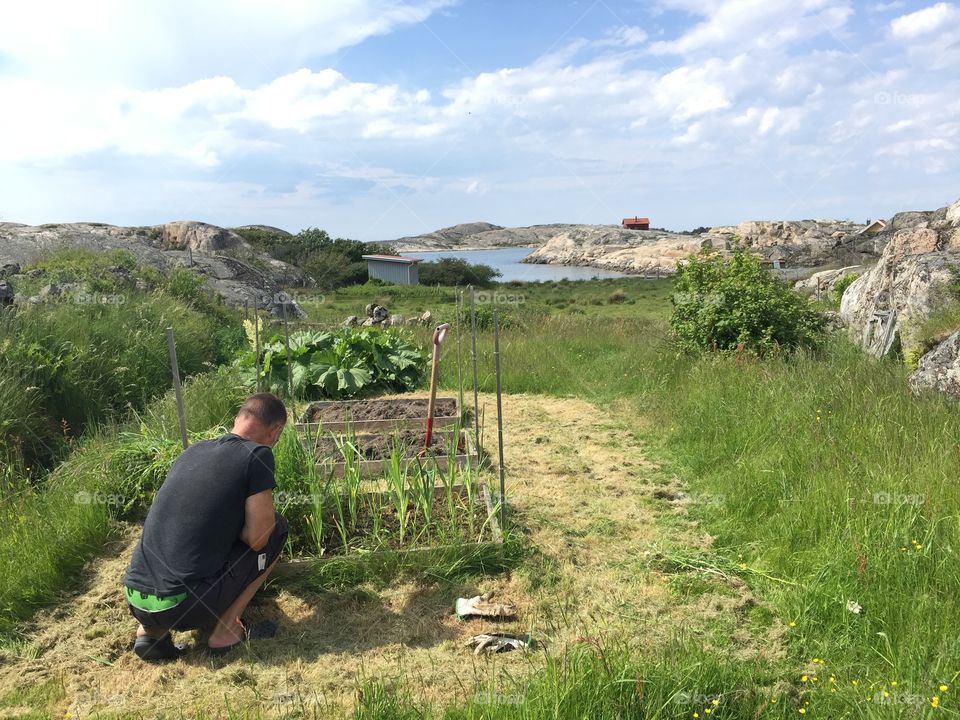Gardening by the sea