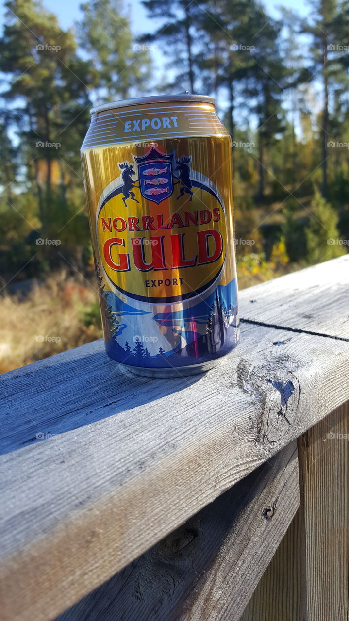beer in sun