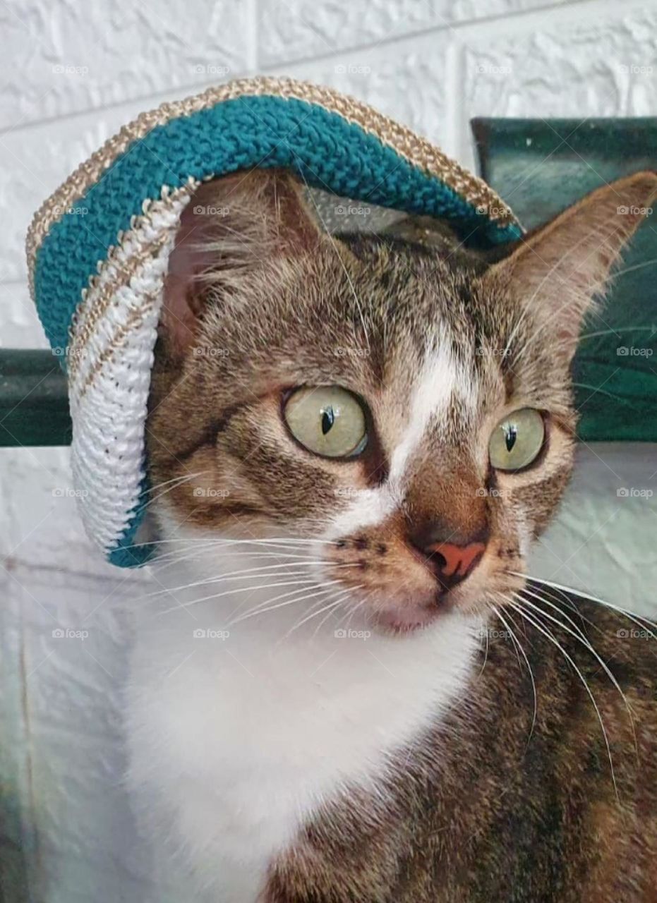 Editors ' Choice : Photo of the week