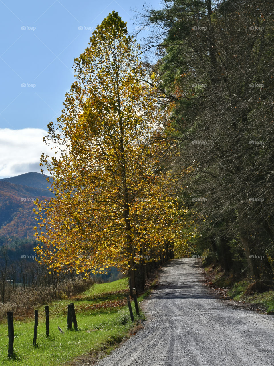 Fall in Cades Cove, Smoky Mountain 