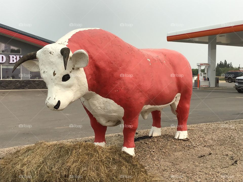 The Red Bull at Raddison