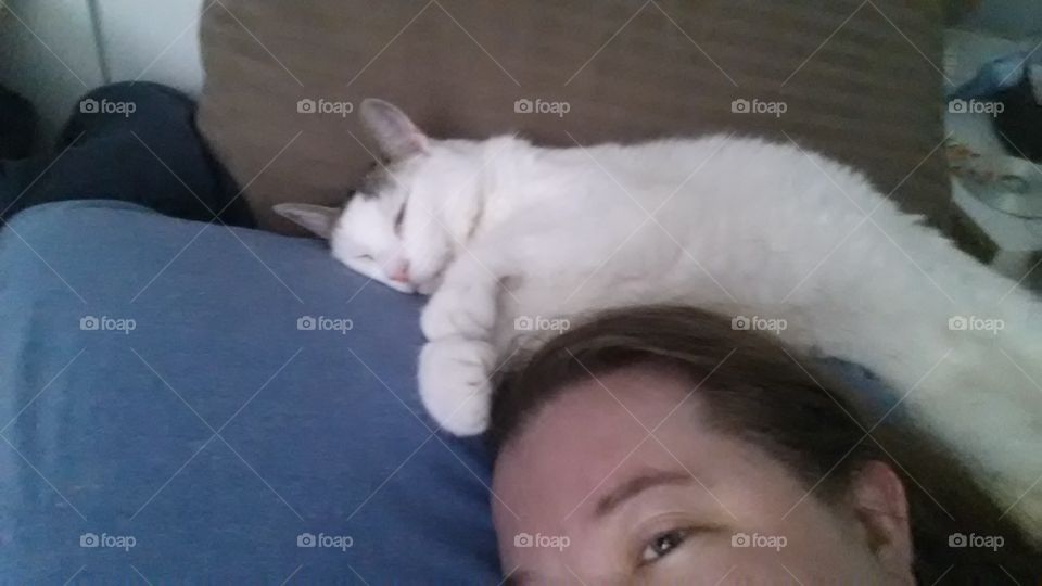 kitty cat sleeping on my head