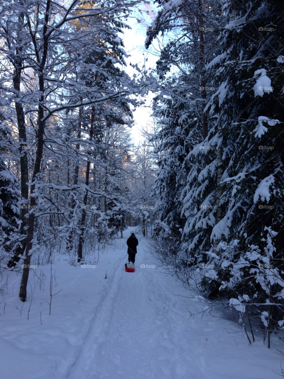 snow winter girl trees by MagnusPm