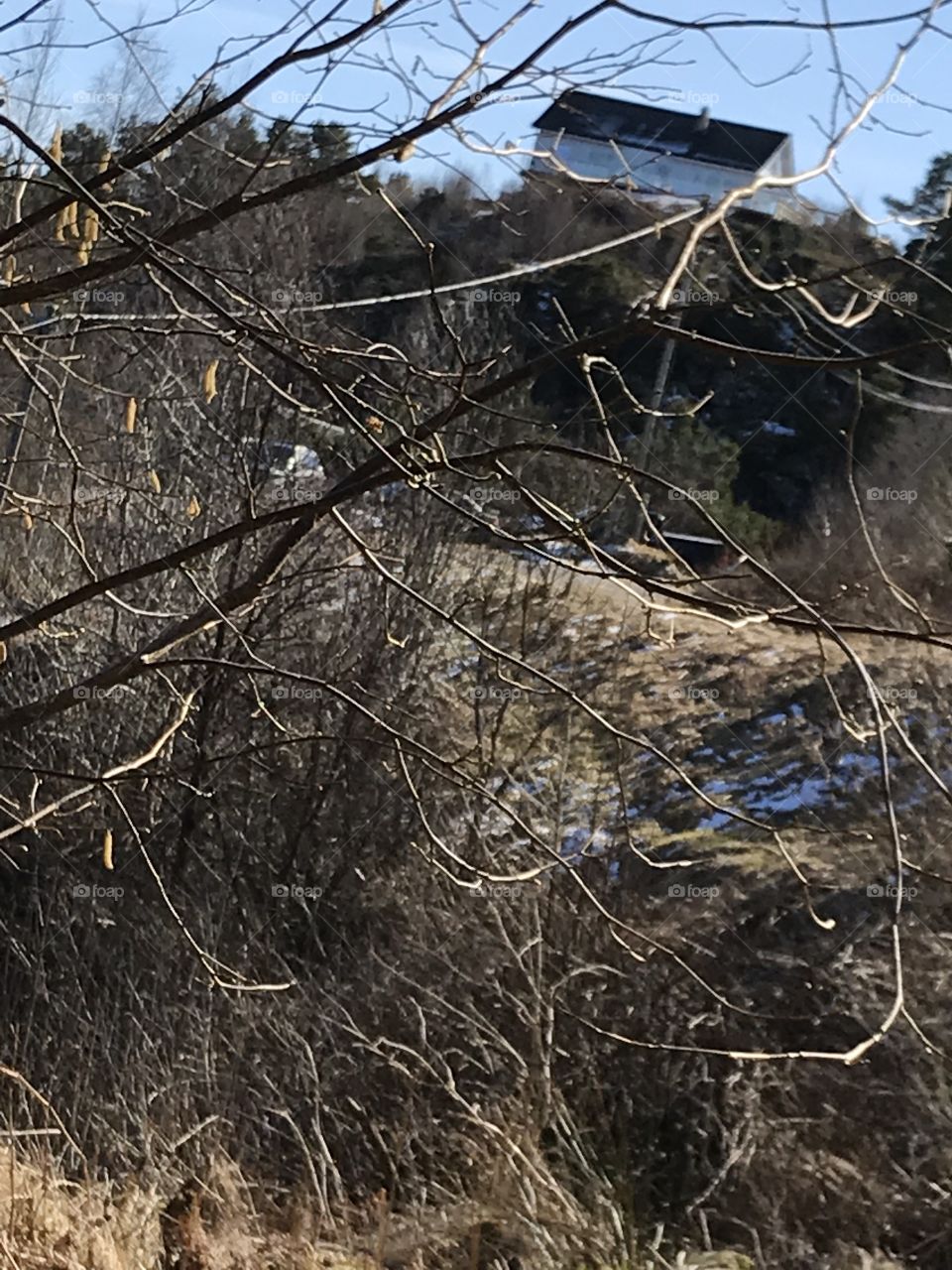 This is an artsy picture of some sticks hanging from a small tree, in the background there is still some snow laying on the ground after the winter. The weather is sunny and cold.