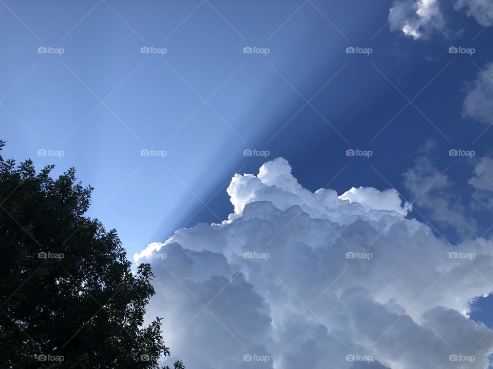 Sunlight rays in clouds. 