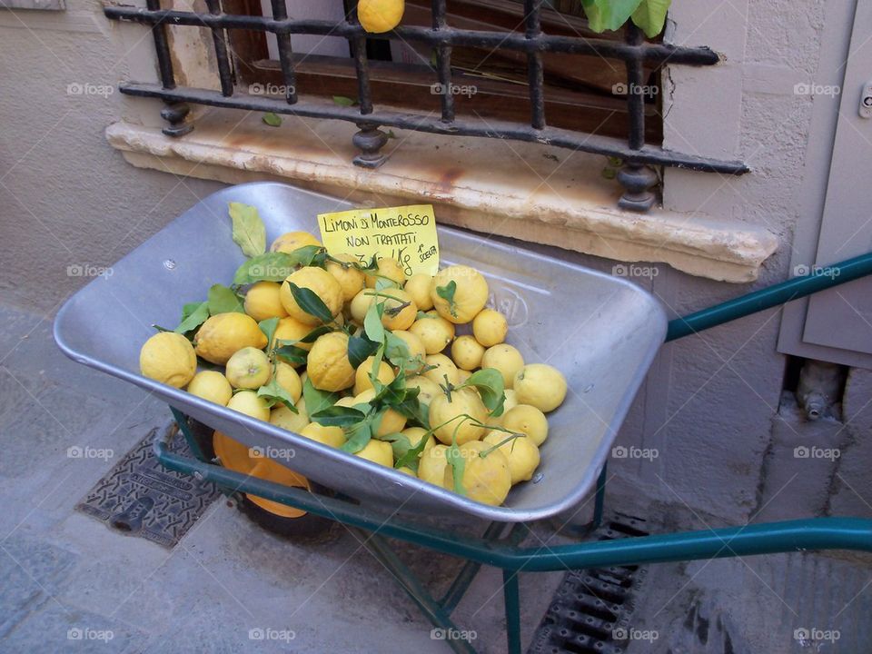 Lemons Cinque Terre shoppe