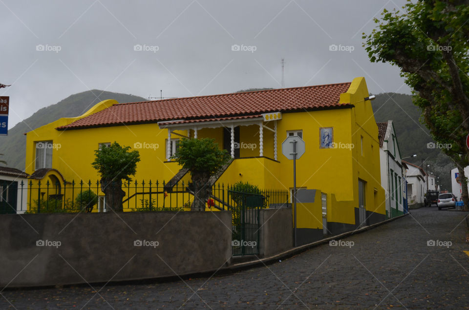 yellow plants trees house by katago