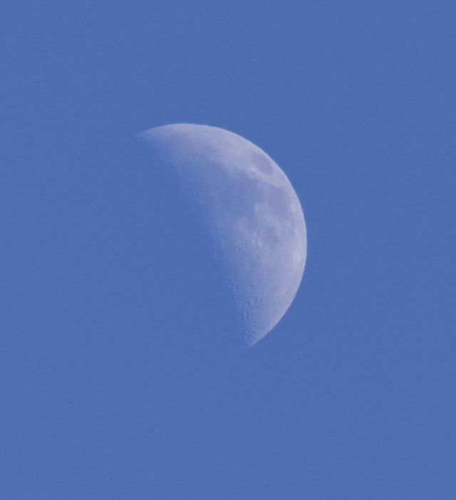 The moon