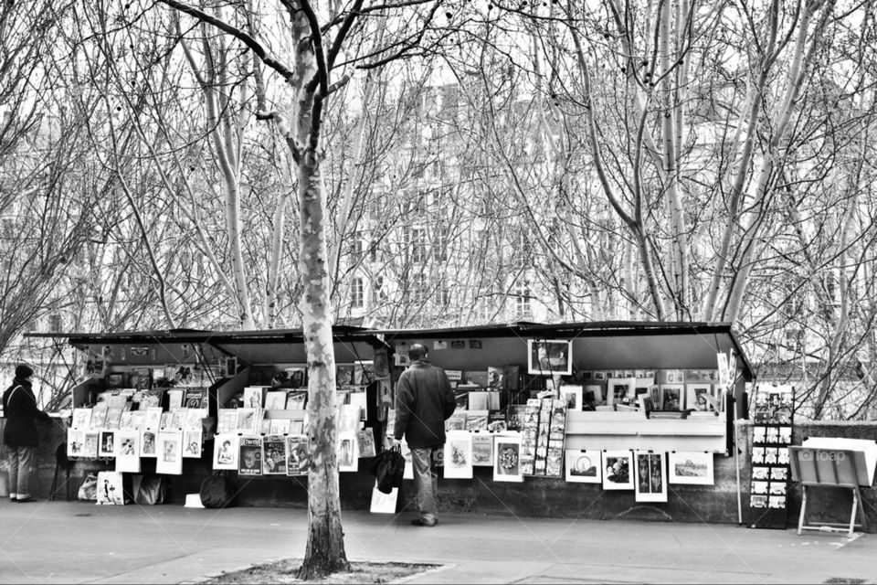 books trees art bw by mayak