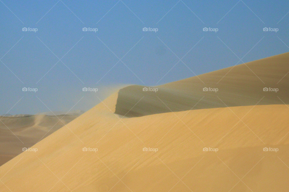 great sand sea. libyan desert. egypt. wind sahara sand dune by ann